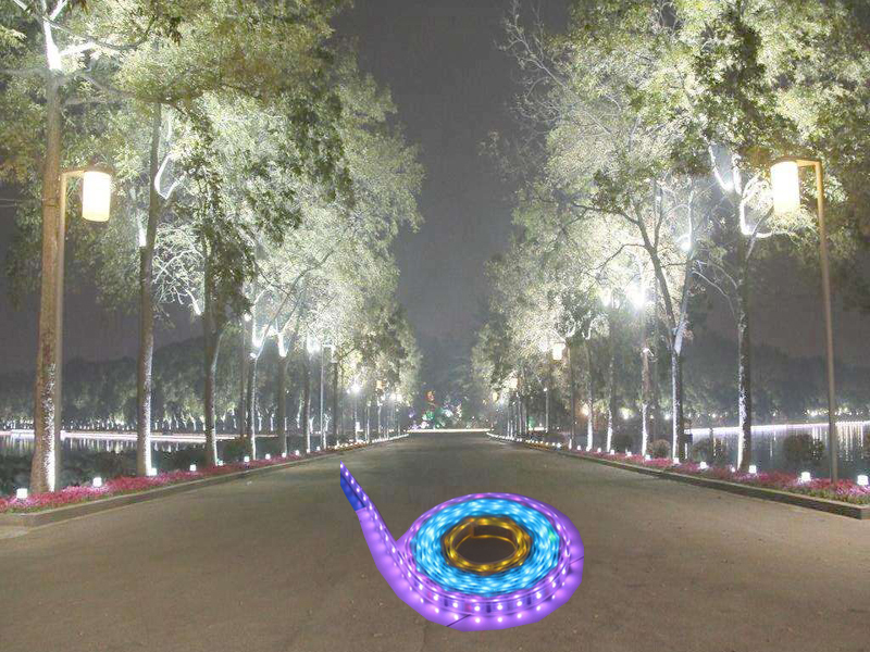 LED Lighting Strips
